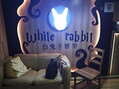 -白兔子密室(长寿路店)
