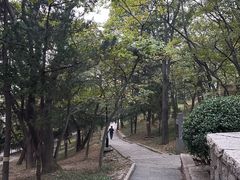 -观象山公园