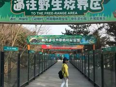 -大连森林动物园