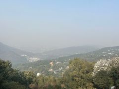 -南山植物园