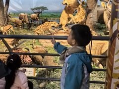 -国家自然博物馆