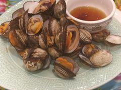-闯关东东北农家菜(崂山石老人店)