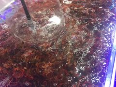 -盱眙小龙虾(天虹店)
