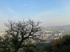 -灵岩山风景区