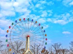 -金沙湖旅游度假区