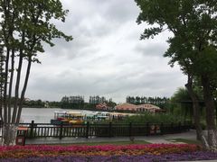 -上海长兴岛郊野公园