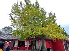 -金堂县云顶石城风景区