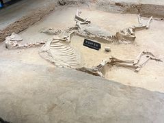 -洛阳周王城天子驾六博物馆