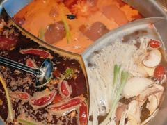 -辣伍鲜毛肚老火锅(元一店)