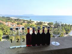 -海南清水湾莱佛士酒店