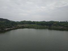 -东莞植物园