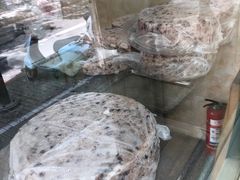 -杨招娣糕点(装驾桥巷店)