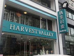 -执茶识麦(万达华府店)