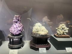 -湖南省地质博物馆