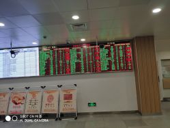 -上海交通大学医学院附属上海儿童医学中心(陆家嘴总院区)