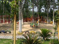 -合肥滨湖国家森林公园