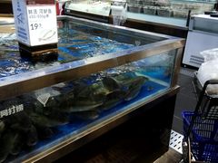 -盒马X会员店(王府井奥莱UP TOWN店)