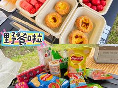 -顾村公园