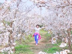 -樱桃山旅游景区