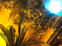 景观位-美庐时尚餐厅(菱角湖店)
