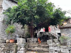 -高荡千年布依古寨旅游景区