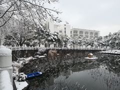 -南京师范大学仙林校区-内部地面停车场