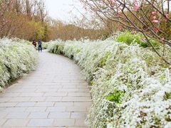 -共青国家森林公园-售票处