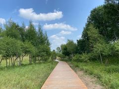 -御道口草原森林风景区