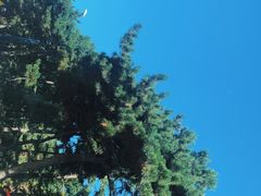 -长春市南湖公园