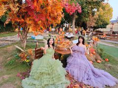 -HERRE·FARM 赫尔露营农场·团建聚会包场