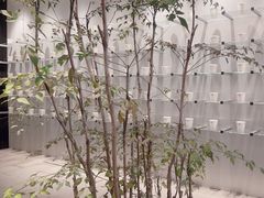 -CUBIC3三立方咖啡(西岸凤巢店)