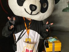 -熊猫不走生日蛋糕(东城店)