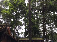 -都江堰普照寺
