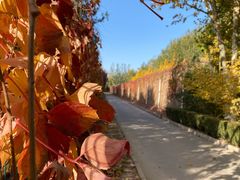 -春晖园度假酒店温泉