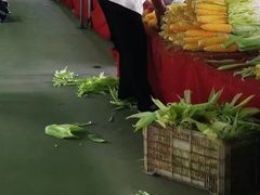 -何庄子阿米玛玛农产品批发市场