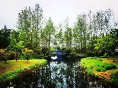 -溱湖国家湿地公园