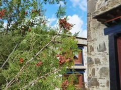 -松赞拉萨林卡酒店