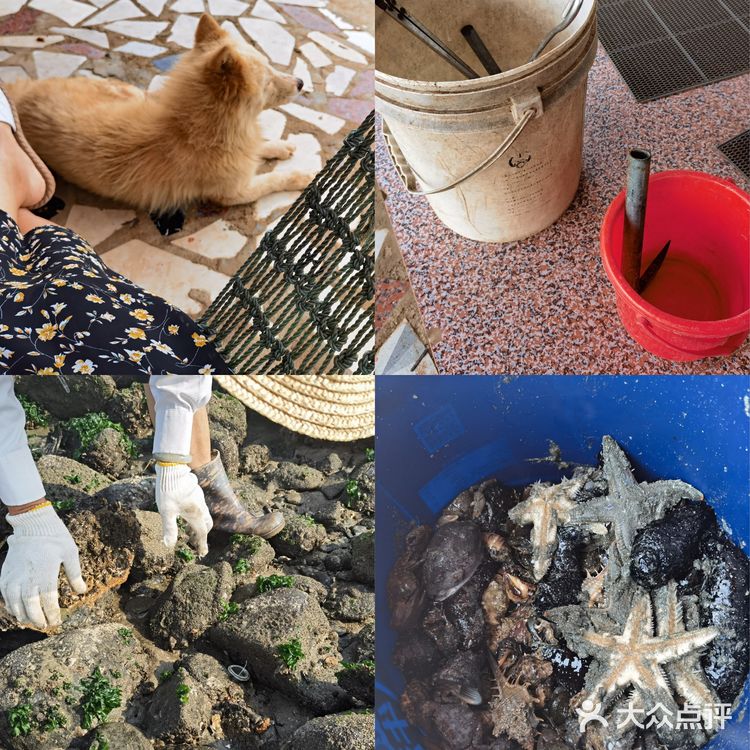 湛江硇洲岛丨吃喝住行两天一夜攻略（上）