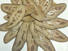 -闫府私房菜·百年鲁菜(恒隆店)