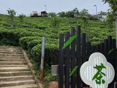 -长沙黑麋峰国家森林公园
