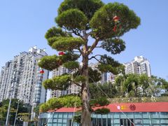 -香山湖公园