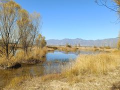 -野鸭湖国家湿地公园