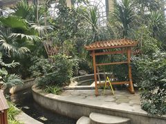 -郑州银基黄帝宫御温泉