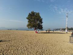 -青岛第二海水浴场