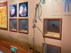 -国家自然博物馆