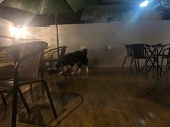 -微饮cafe