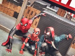 -东浩兰生上海世博展览馆