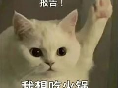 -锅说大脸毛肚重庆老火锅(佐阾店)