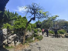 -何园