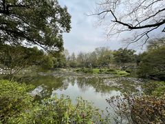 -杭州植物园